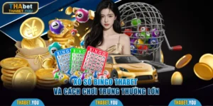 Xổ Số Bingo